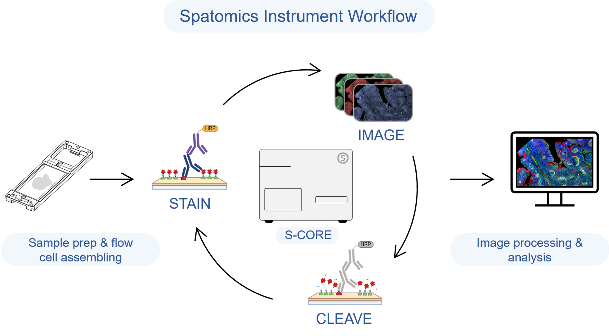 Spaco Analysis Instrument Instruments – spatomics